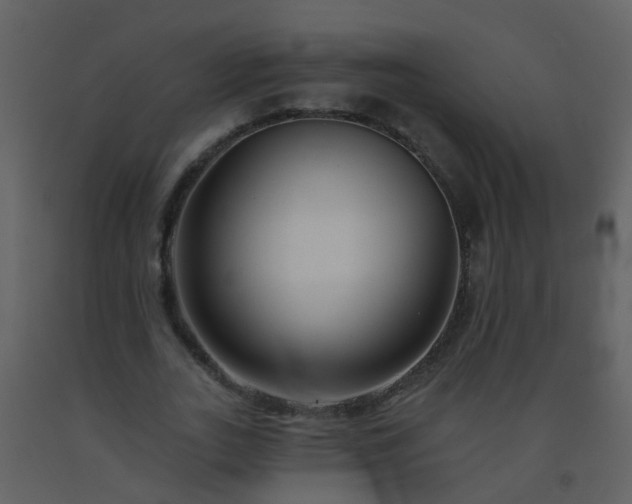 X0000093580727200710221502