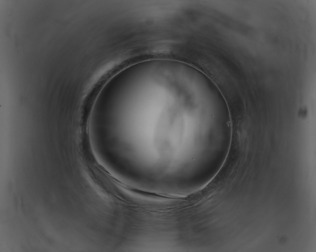 X0000093580728200710221502
