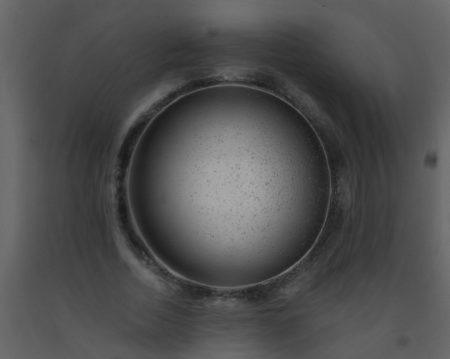 X0000093580730200710221502