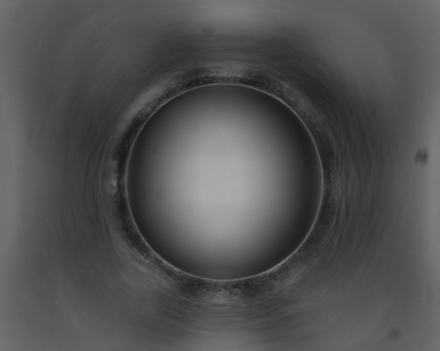 X0000093580731200710221503