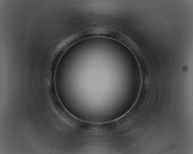 X0000093580732200710221503