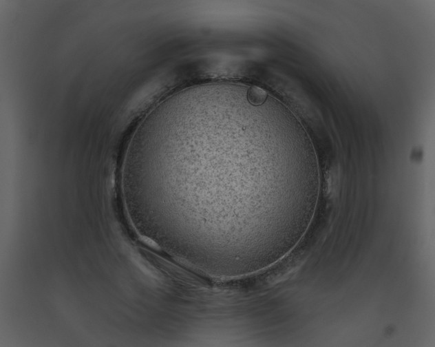 X0000093580733200710221503