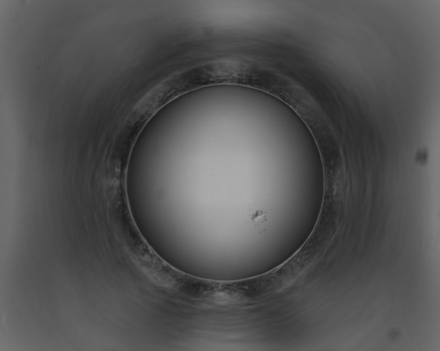 X0000093580737200710221503