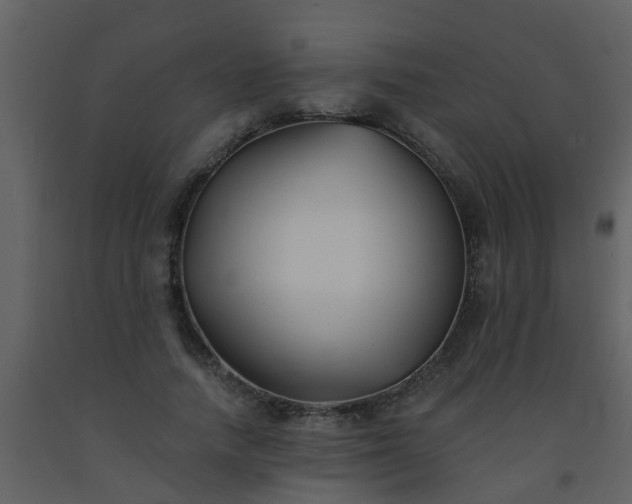 X0000093580738200710221503