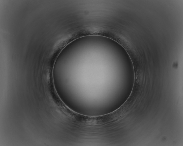 X0000093580740200710221503