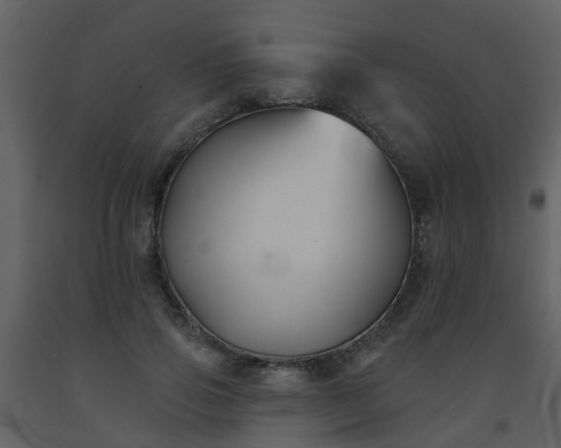 X0000093580741200710221503