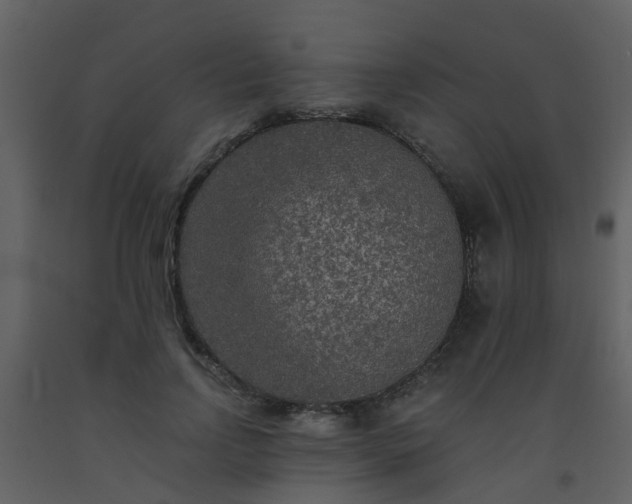 X0000093580742200710221503