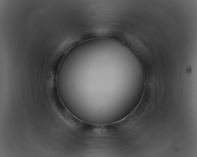 X0000093580744200710221503