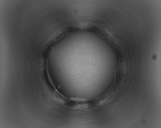 X0000093580750200710221503