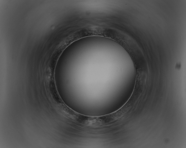 X0000093580752200710221503