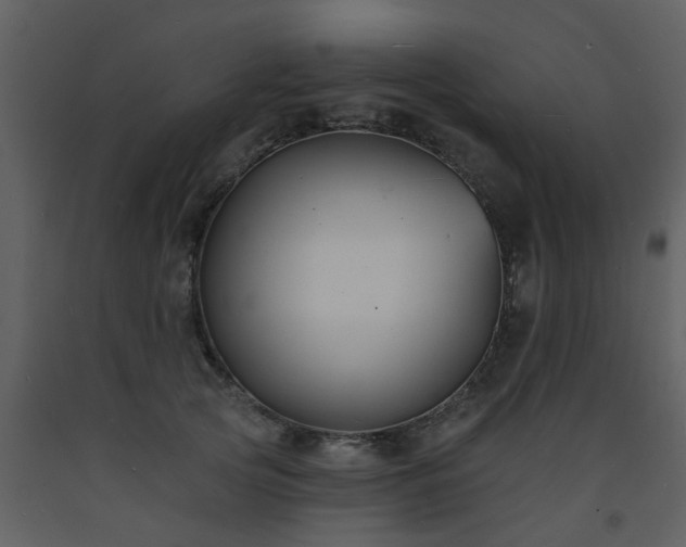 X0000093580753200710221503