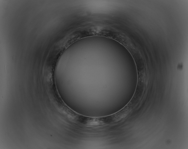 X0000093580754200710221503