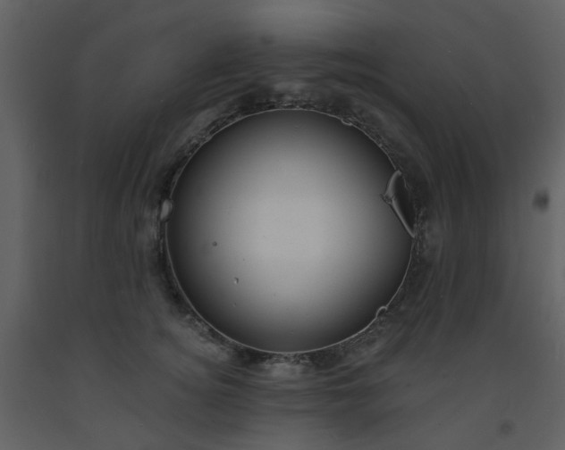 X0000093580756200710221503