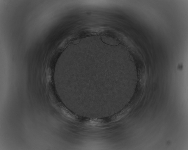 X0000093580758200710221503