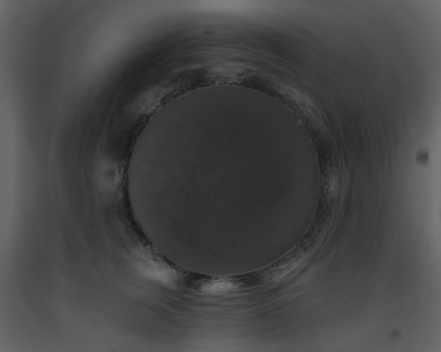 X0000093580759200710221503