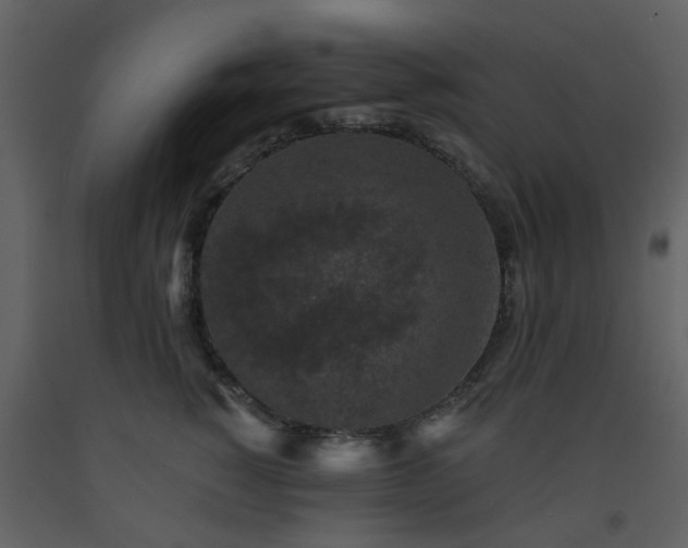 X0000093580760200710221503