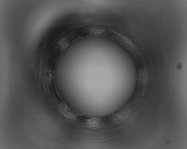 X0000093580761200710221503