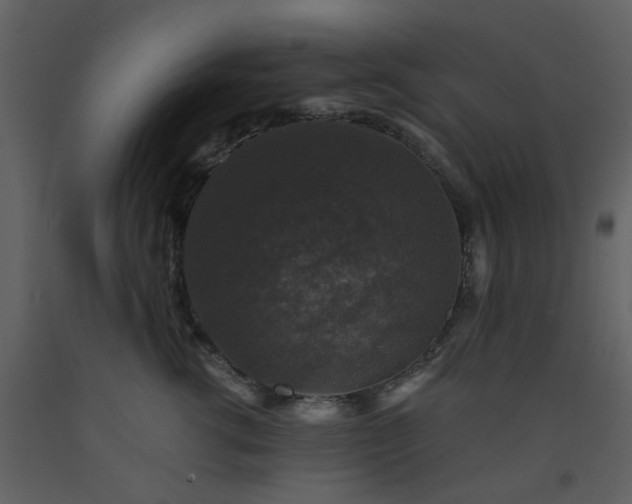 X0000093580762200710221503