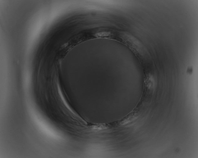 X0000093580763200710221503