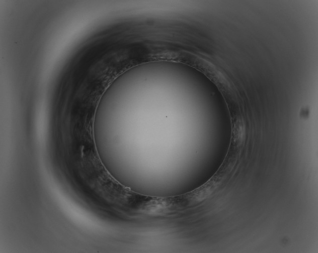 X0000093580764200710221503