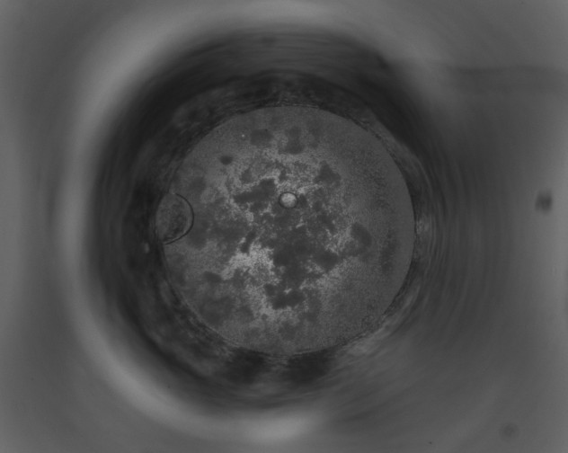 X0000093580765200710221503