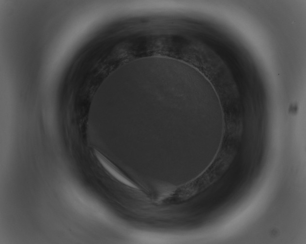 X0000093580766200710221503