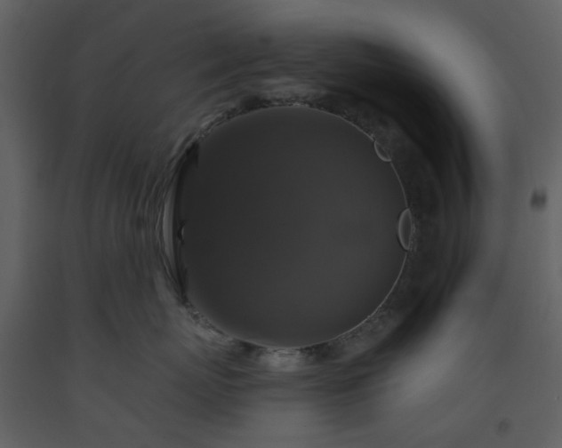 X0000093580767200710221503