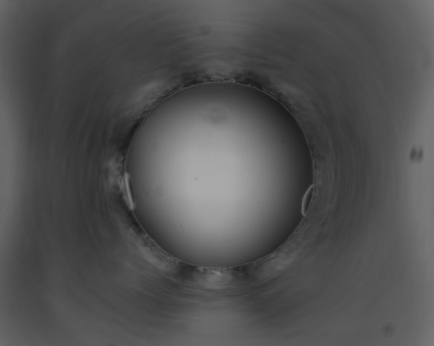X0000093580768200710221503