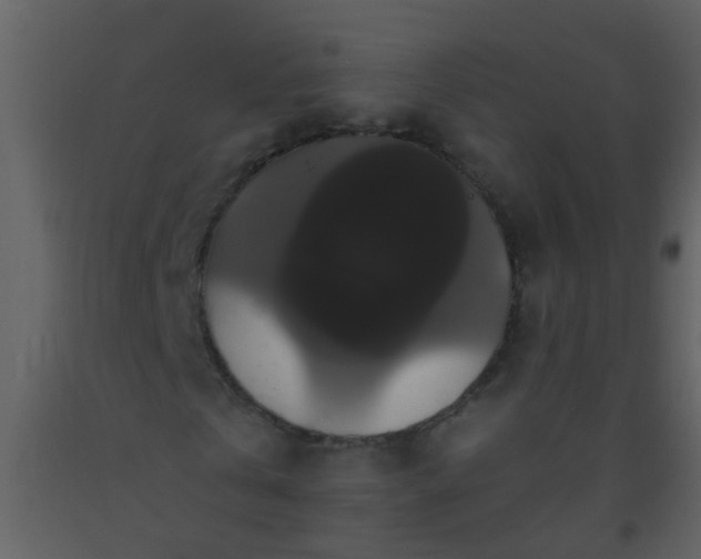 X0000093580769200710221502