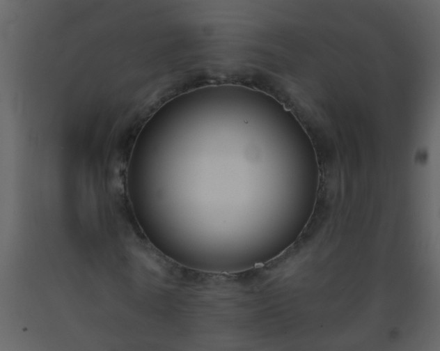X0000093580770200710221502