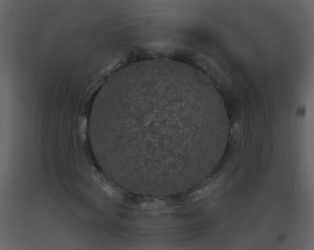 X0000093580772200710221502