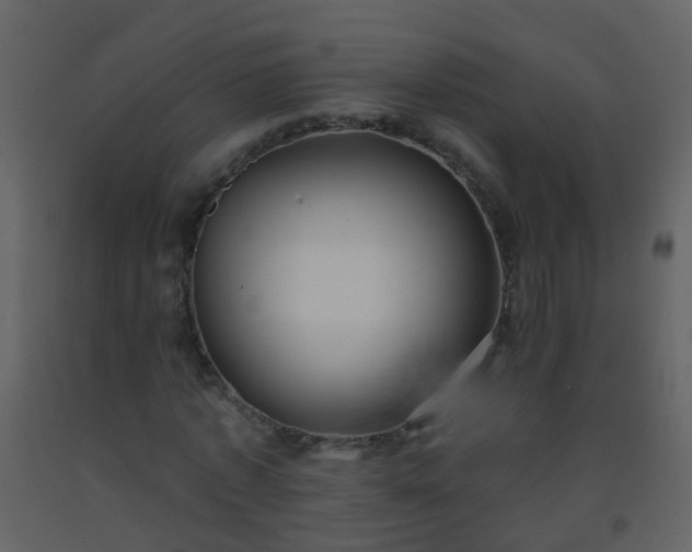 X0000093580773200710221502