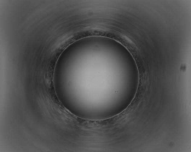 X0000093580774200710221502