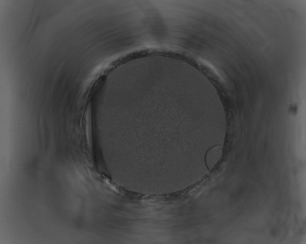 X0000093580776200710221502