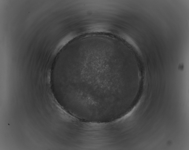 X0000093580777200710221502