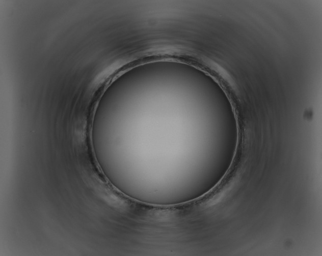 X0000093580778200710221502
