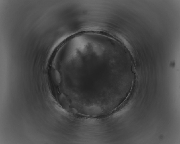 X0000093580779200710221502