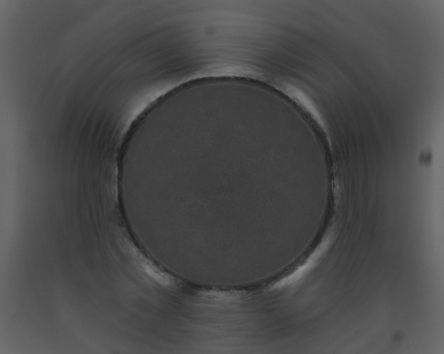 X0000093580781200710221502