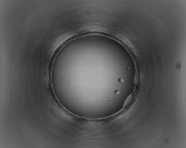 X0000093580782200710221502