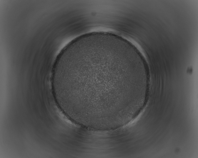 X0000093580783200710221502