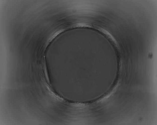 X0000093580785200710221502