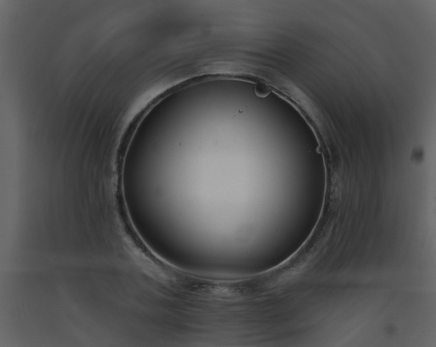 X0000093580787200710221502