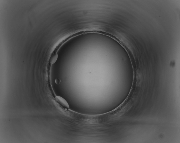 X0000093580789200710221502