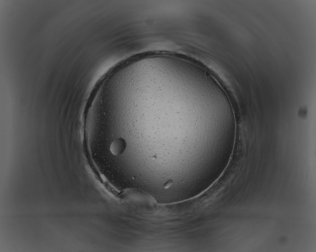 X0000093580791200710221502