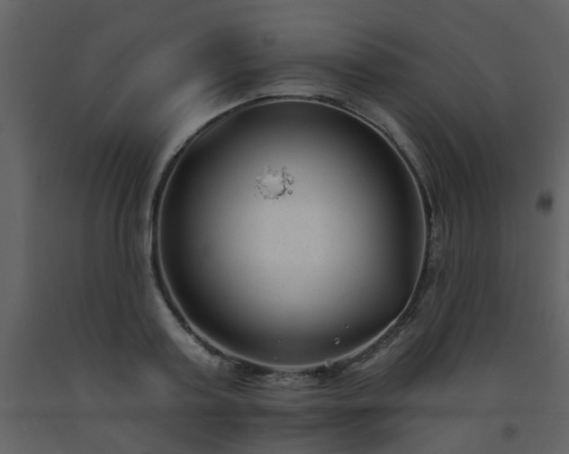 X0000093580795200710221502
