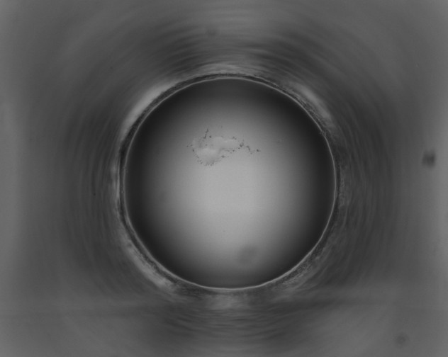X0000093580796200710221502