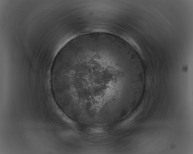 X0000093580798200710221502