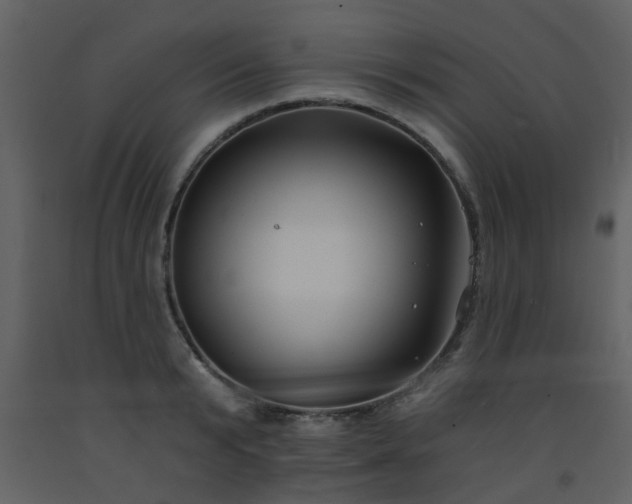 X0000093580799200710221502