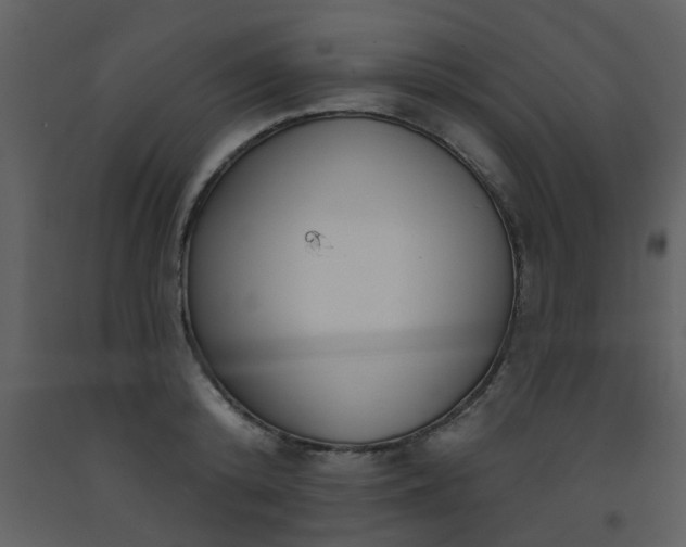 X0000093580800200710221502
