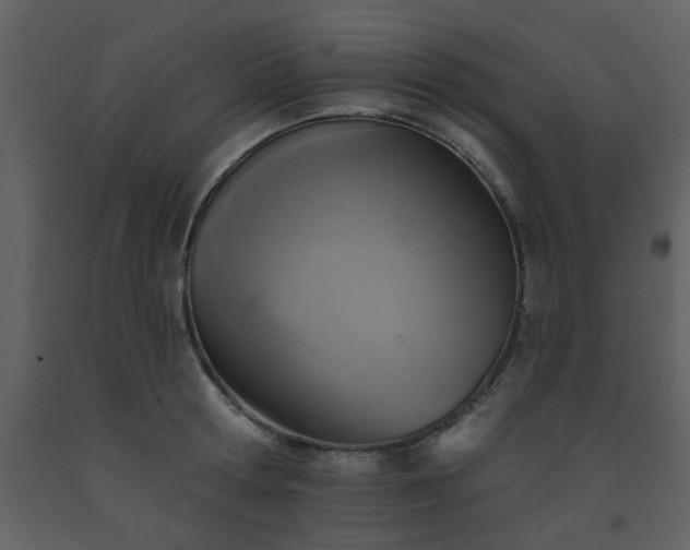 X0000093580802200710221502